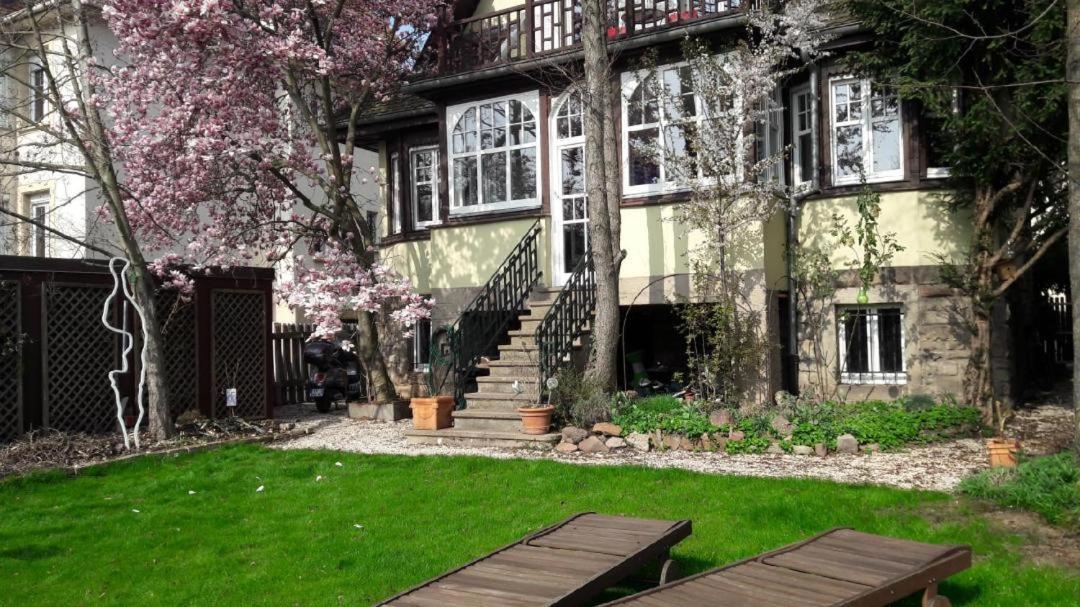 Studio 50M2 Au Bord De L'Eau A Strasbourg Exterior photo